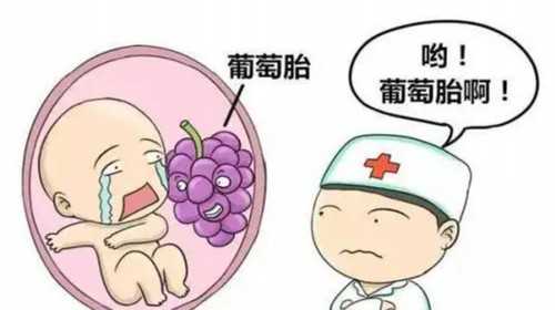 广州私人代孕试管医院哪家好,大连失独代孕