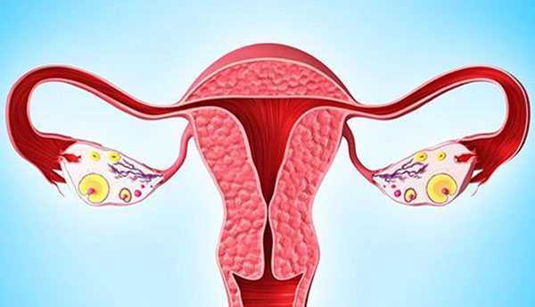 两年未孕，子宫偏左，左侧输卵管通而不畅有粘连，右侧输卵管是通的，可以怀