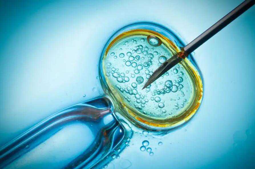高度近视可以代孕吗_人工代孕介绍_美国试管婴儿在胚胎移植过程中有哪些弊端